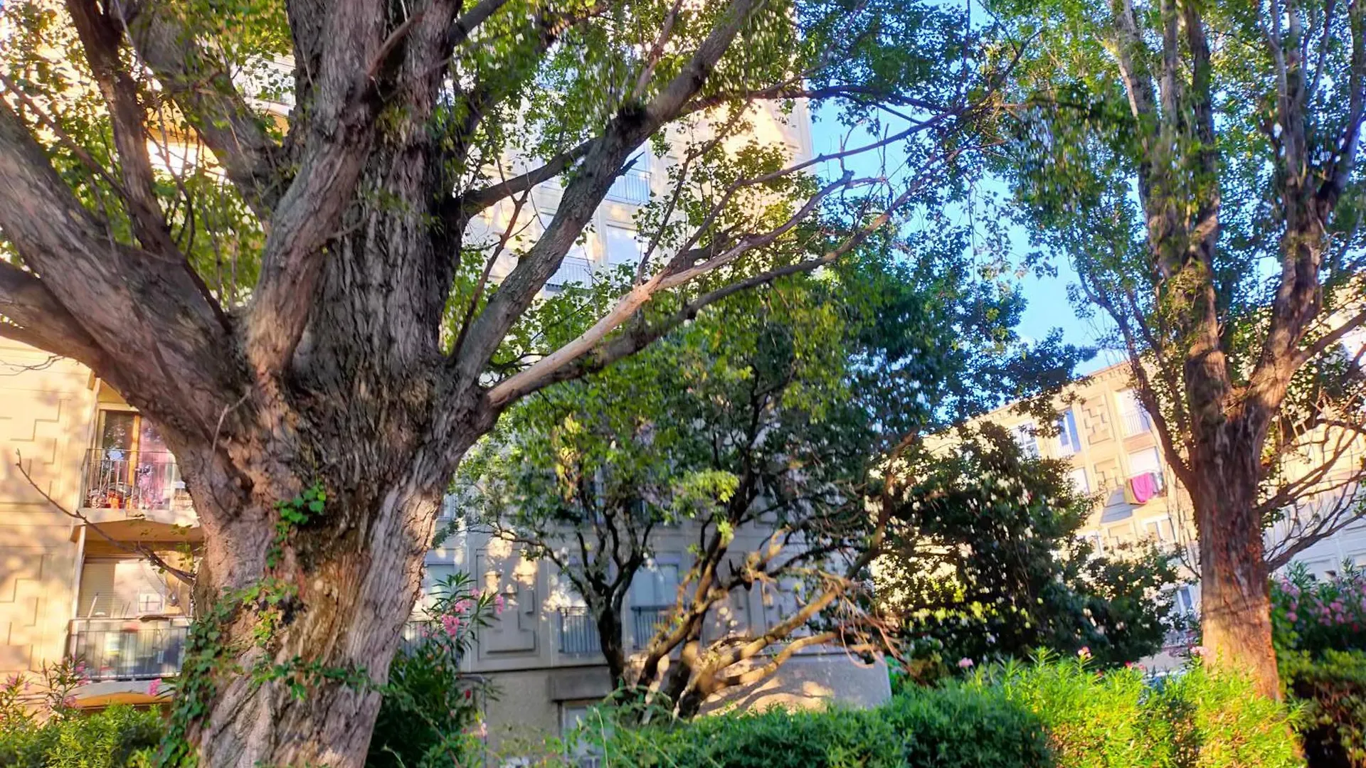 Esprit Nordik Apartman Avignon